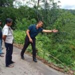 Anggota DPRD Kabupaten Sukabumi Hera Iskandar dan DPU pantau longsor yang ancam jalan alternatif cibadak cicantayan cikembar (Sumber: Hera Iskandar)