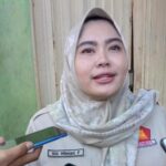Siti Hilmiati Fauziah Anggota DPRD Kabupaten